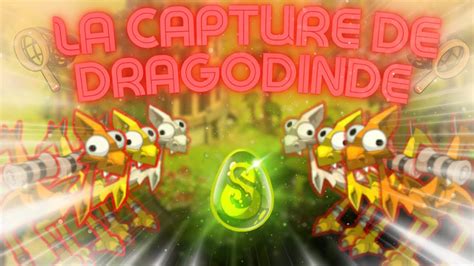 capture de dragodinde.